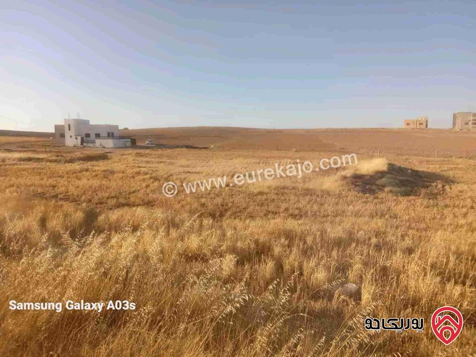 ارض مساحة دونم للبيع في عمان - الموقر 