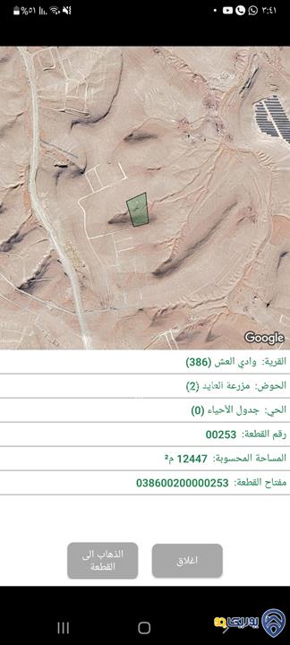 قطعة أرض مساحة 500م للبيع في منطقة أحد - وادي العش 