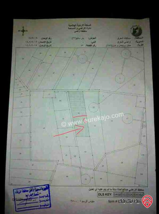 قطعة أرض مستطيلة الشكل مساحة 8 دونم و 800م للبيع في المفرق قضاء بلعما حيان رويبض ونيان