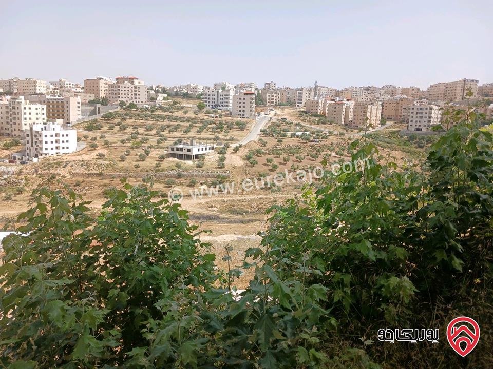 شقة طابقية مساحة 248م للبيع في عمان - الجبيهة