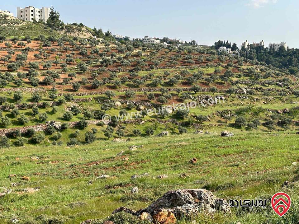 قطعة أرض مساحة 685م للبيع في ام عبهرة البحاث/ المشبك غرب عمان/مرج الحمام 