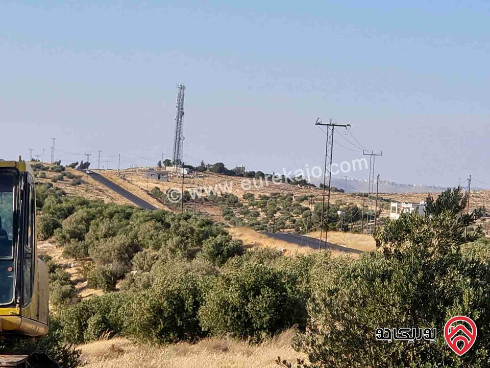 مزرعة زيتون ذات اطلالة رائعة بإتجاه الغرب (البحر الميت) مساحة 23 دونم للبيع في مأدبا