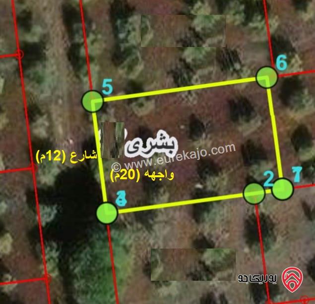 قطعة أرض مساحة 630م للبيع في اربد - بشرى ضمن حوض الجوخ مزروعة زيتون