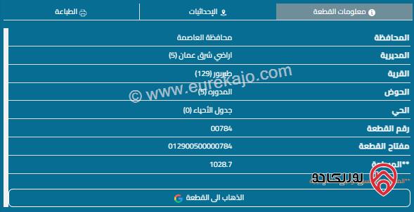 قطعة أرض مساحة 1036م للبيع في طبربور 