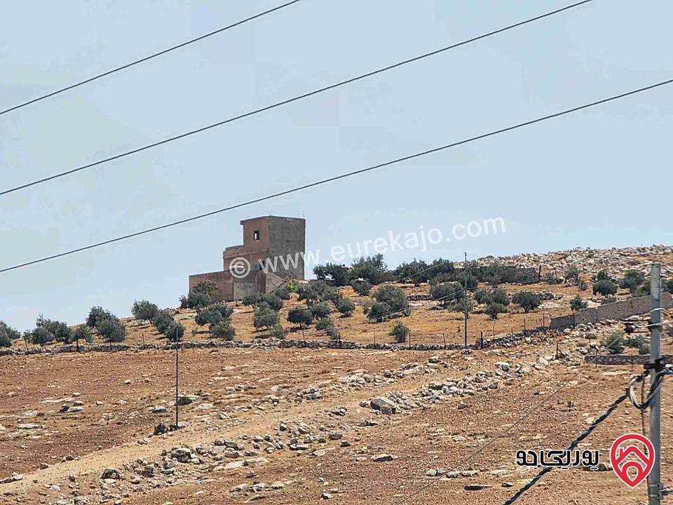قطعة أرض مساحة 1366م للبيع في عمان - شفا بدران الكوم الغربي 