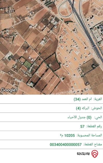 قطعة أرض مساحة 1750م مشتركة للبيع في عمان - ام العمد