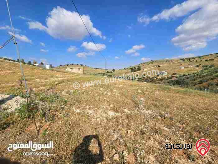 قطعة أرض زراعية مساحة 3400م للبيع في المفرق - بلعما وفيها خزان تجميع مياه امطار، منطقة هادئة وآمنة 