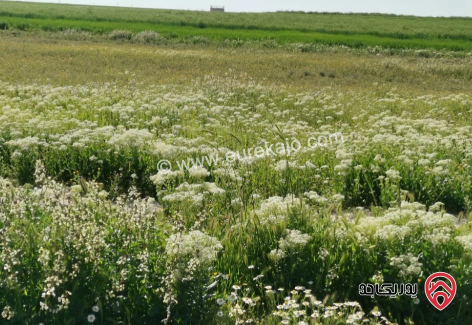 قطعة أرض مساحة 508م للبيع في عمان - القسطل