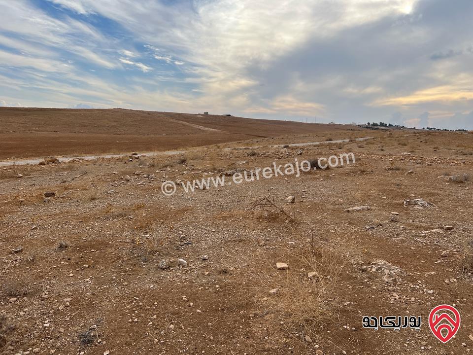 قطعة أرض رائعة مساحة 4721م للبيع في محافظة المفرق دير ورق