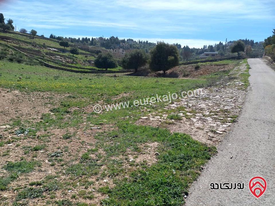 قطعة أرض مساحة 5890م للبيع من المالك مباشرة في البلقاء - السلط زي الجنوبي 