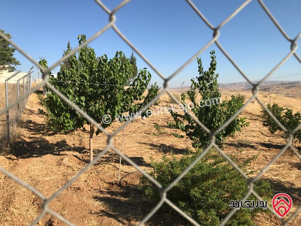 قطعة أرض مساحة 500م للبيع في ناعور زبود وسيل حسبان