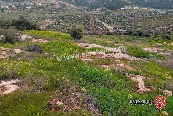 قطعة أرض مساحة 22 دونم للبيع جنوب عمان - الموقر حوض بركه مغاير السعود السعر 5000 للدونم 