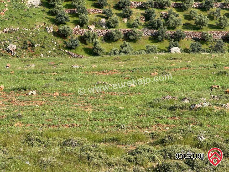 قطعة أرض مساحة 685م للبيع في ام عبهرة البحاث/ المشبك غرب عمان/مرج الحمام 