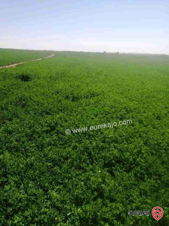 قطعة أرض مساحة 500م للبيع من أراضي جنوب عمان - جاوا قرية نافع