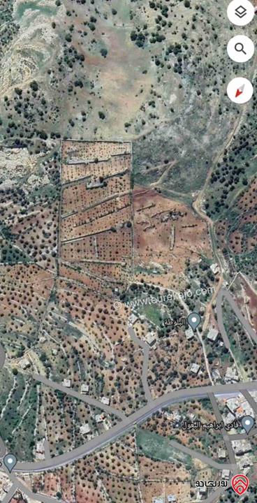 قطعة أرض مساحة 26598م للبيع في محافظة عجلون