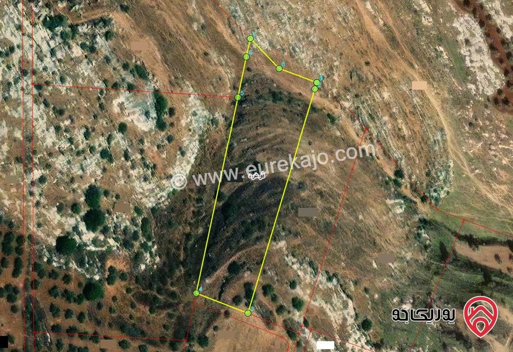 قطعة ارض مساحة 6268م للبيع في اربد - فوعرا - حوض كفر اباس الشمالي  