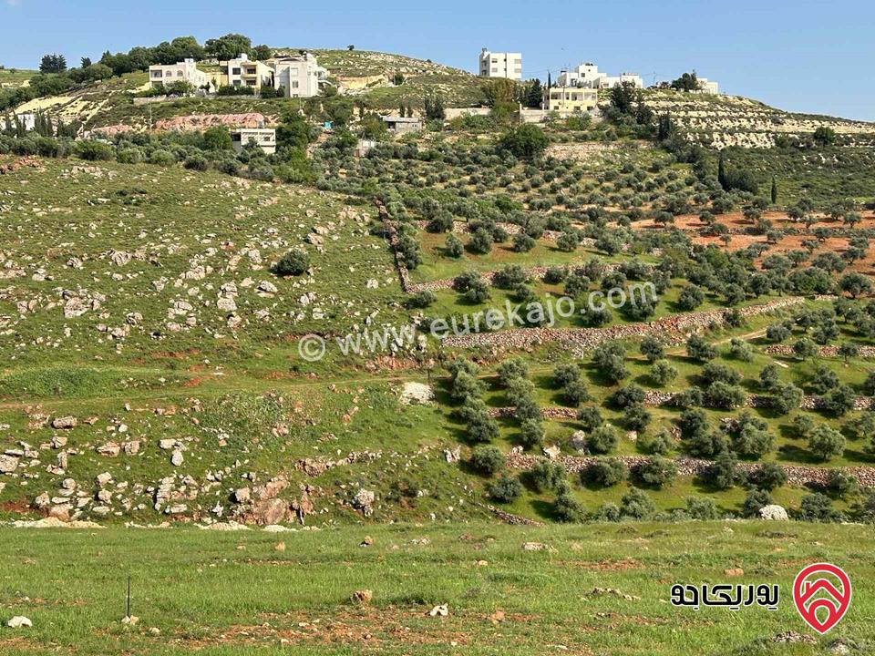 قطعة أرض مساحة 685م للبيع في ام عبهرة البحاث/ المشبك غرب عمان/مرج الحمام 