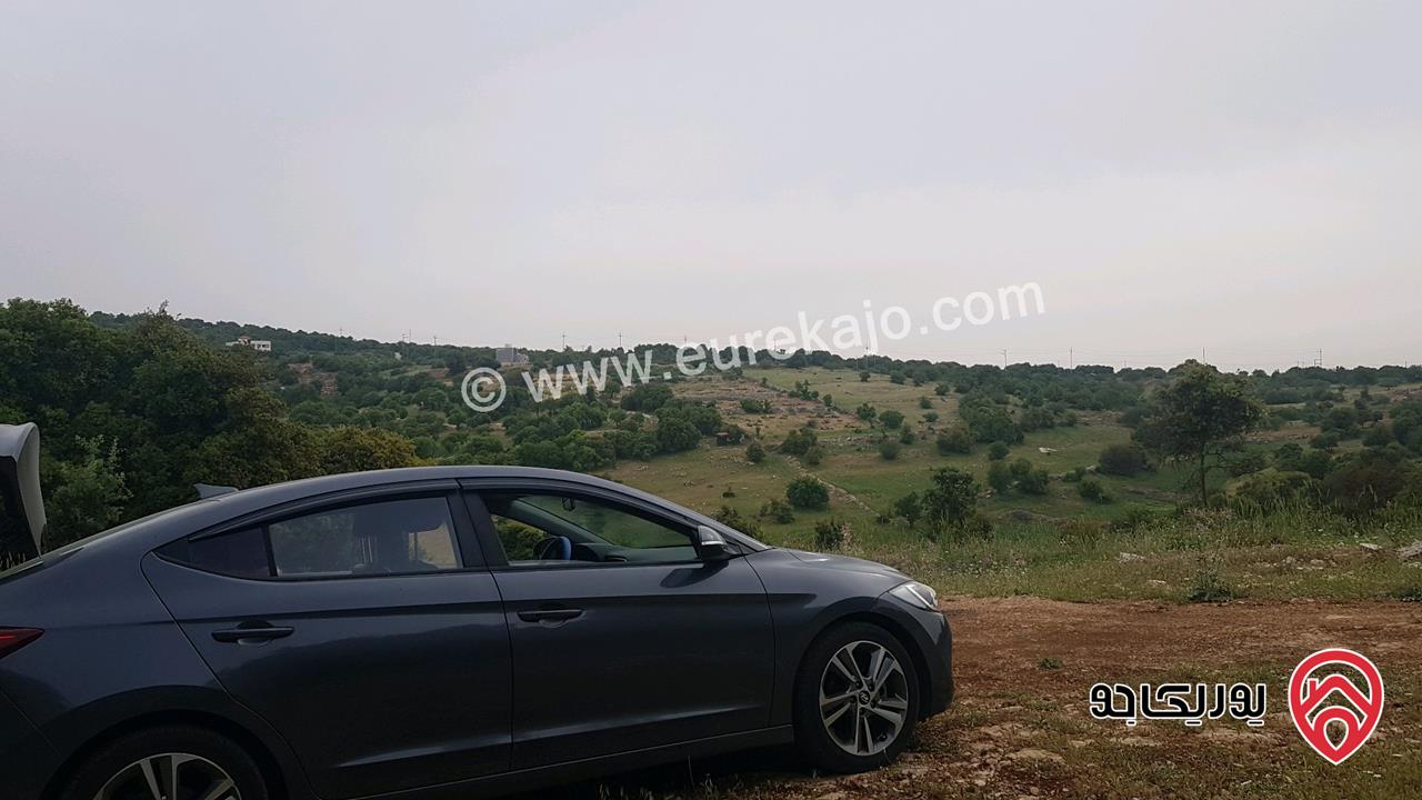 قطعة أرض مساحة 8916م للبيع في عجلون - عين جنا المنازل المغاربي شارع معبد وكهرباء 