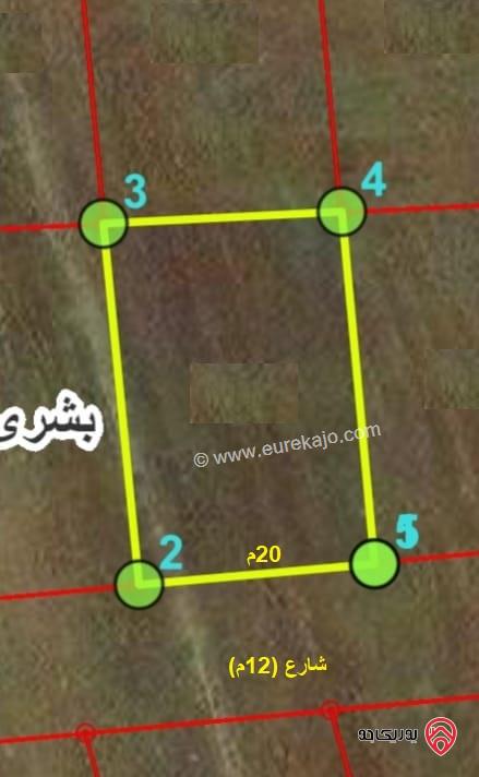 قطعة أرض مساحة 601م للبيع في اربد - من اراضي بشرى ضمن حوض البيدر 