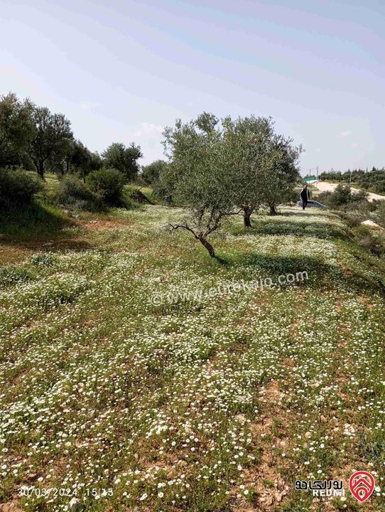 قطعة أرض مساحة 850م على شارعين للبيع في عمان - ناعور 