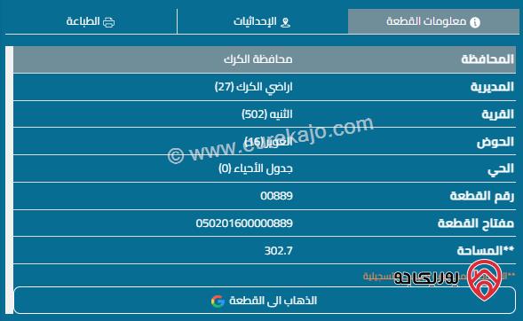 ثلاثة قطع أراضي مساحة القطعة 300م والسعر 9 الاف للقطعة للبيع في الكرك - الثنية 