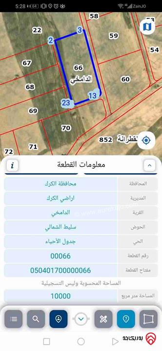 قطعة أرض مساحة 10 دونم من أراضي الكرك - الدامخي