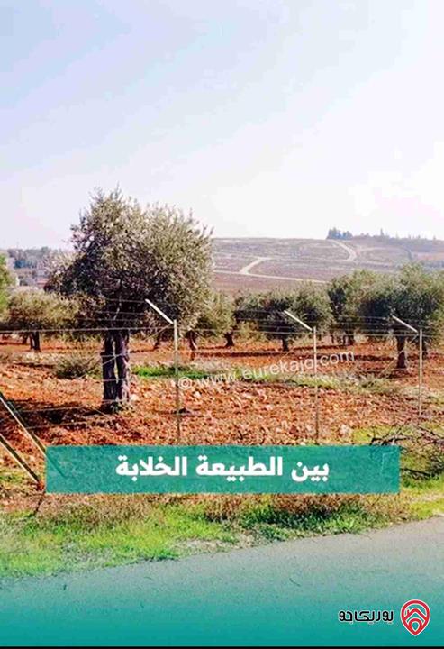 قطع أراضي مميزة بمساحات 750م للبيع في عمان - ناعور