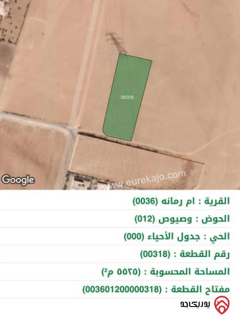 قطعة ارض مساحة 5525م للبيع في عمان - أم رمانة