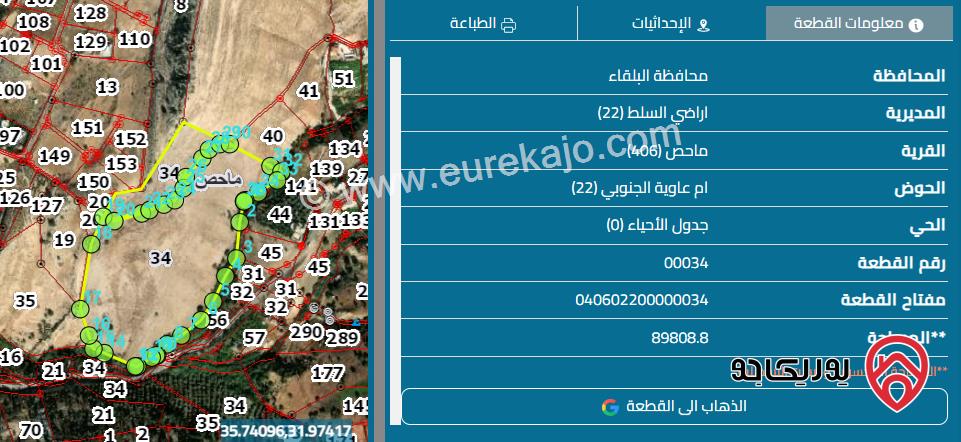 ارض مساحة 90 دونم للبيع في البلقاء - ماحص 