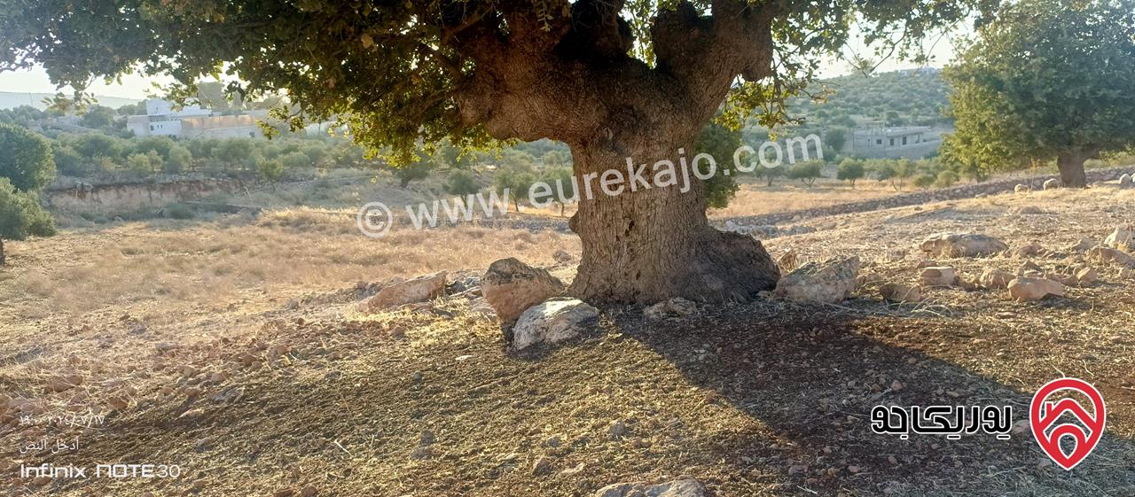 قطعة ارض مساحة 3640م للبيع في السلط الصبيحي بسعر مغري 60 الف قابل للتفاوض 