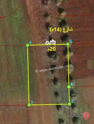 قطعة أرض مساحة 590م للبيع في اربد - من اراضي بشرى ضمن حوض الكرسنة الغربي