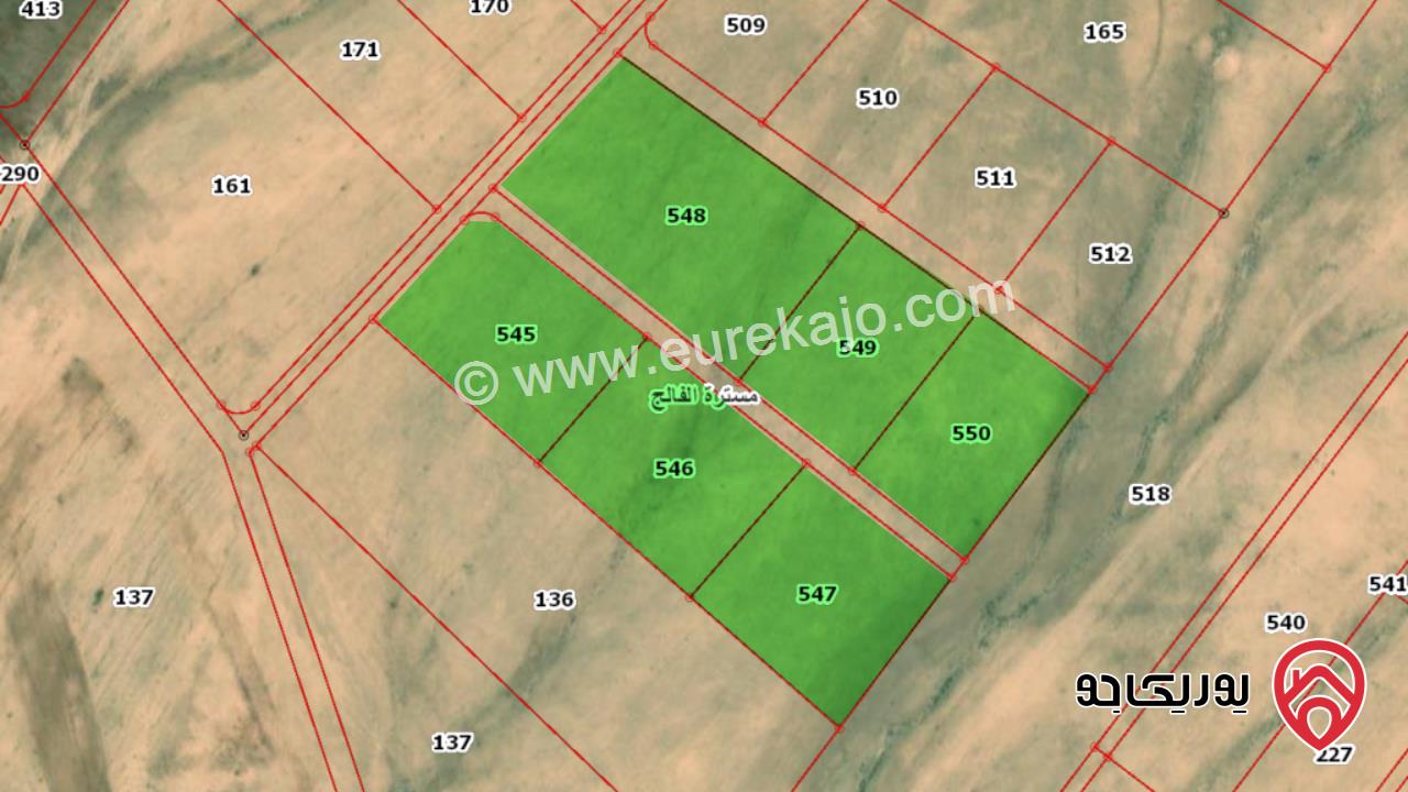 قطعة أرض مساحة 4 دونم للبيع في عمان - الجيزة مسترة الفالج حوض الشوشان الشمالي من اراضي جنوب عمان خلف المطار و ملاصقة للمشاريع