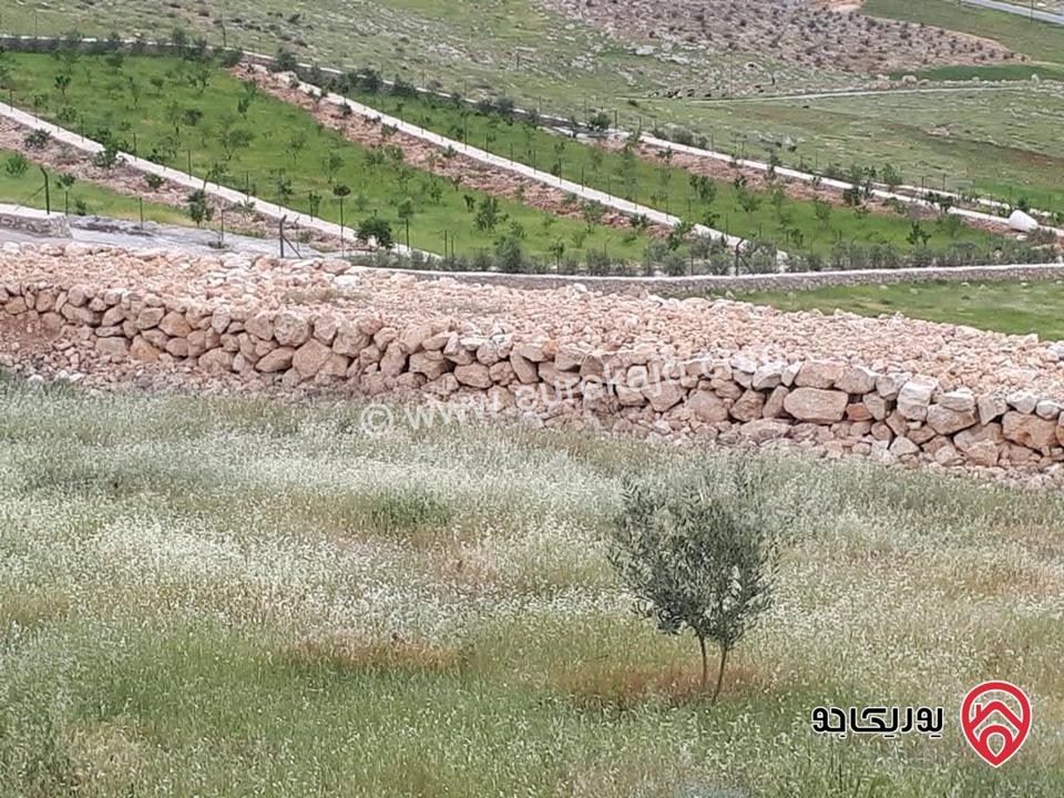 مزرعة نموذجية مساحة البناء 140م على أرض 5 دونم للبيع في جرش - عنيبة خلف جامعة جرش 