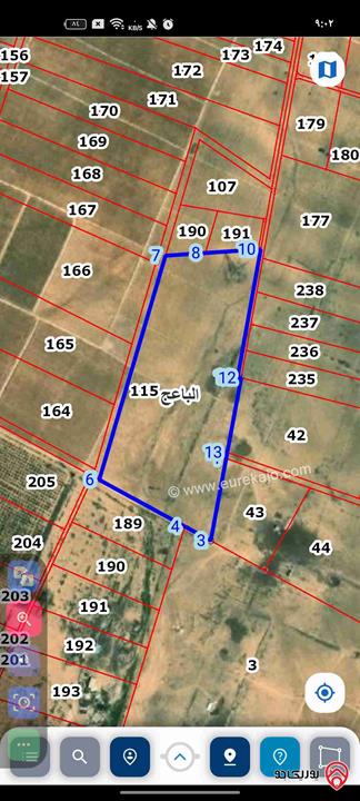 ارض للبيع مساحه 2000متر في المفرق /الباعج/العالمين/رقم 115