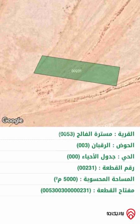 قطعة أرض مساحة 5000م مميزة للبيع في عمان - الجيزة جنوب المطار 