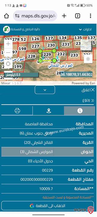 قطع اراضي مساحة 10 دونم للبيع في عمان - من أراضي جنوب عمان - الفالج الشرقي