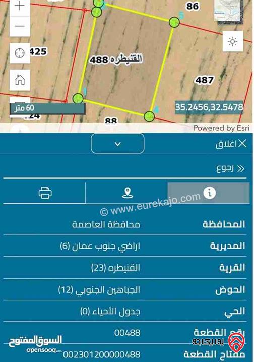 قطعة أرض مساحة 1300م من أرض مشتركة للبيع في عمان - طريق المطار القنيطرة 