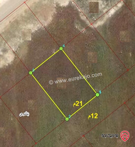 قطعة ارض 600متر للبيع في اربد - من اراضي بشرى - ضمن حوض المغارة 