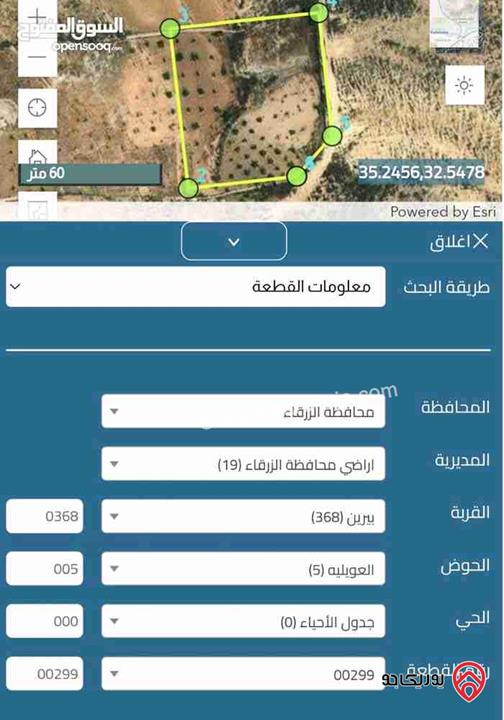 مزرعة فستق حلبي مساحة 4000م للبيع في الزرقاء - بيرين