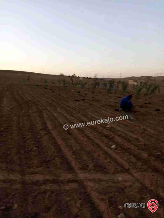 قطعة أرض مساحة 4180م للبيع في المفرق - بلعما الزيتونة