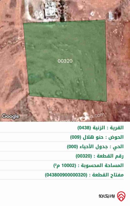 ارض مساحة 10 دونم للبيع في المفرق - الزنية