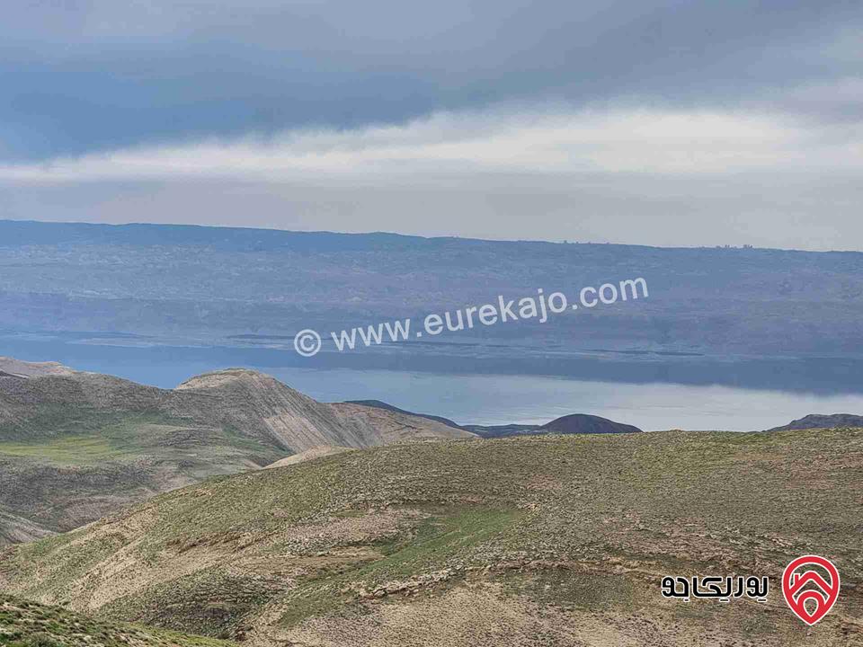 مزرعة زيتون ذات اطلالة رائعة بإتجاه الغرب (البحر الميت) مساحة 23 دونم للبيع في مأدبا