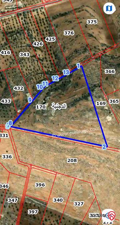 قطعة ارض مساحة 29 دونم مخدومة بالكهرباء وشارع للبيع في المفرق - منطقة الدجنية 