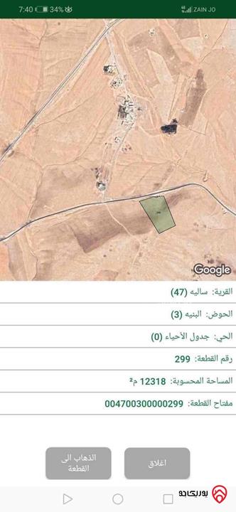 قطعة أرض مساحة 12381م للبيع في عمان - ام الرصاص ساليه 
