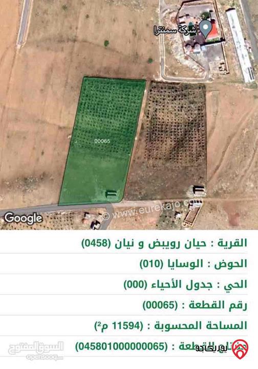 ارض زراعية مساحة 11594م للبيع في المفرق - بلعما