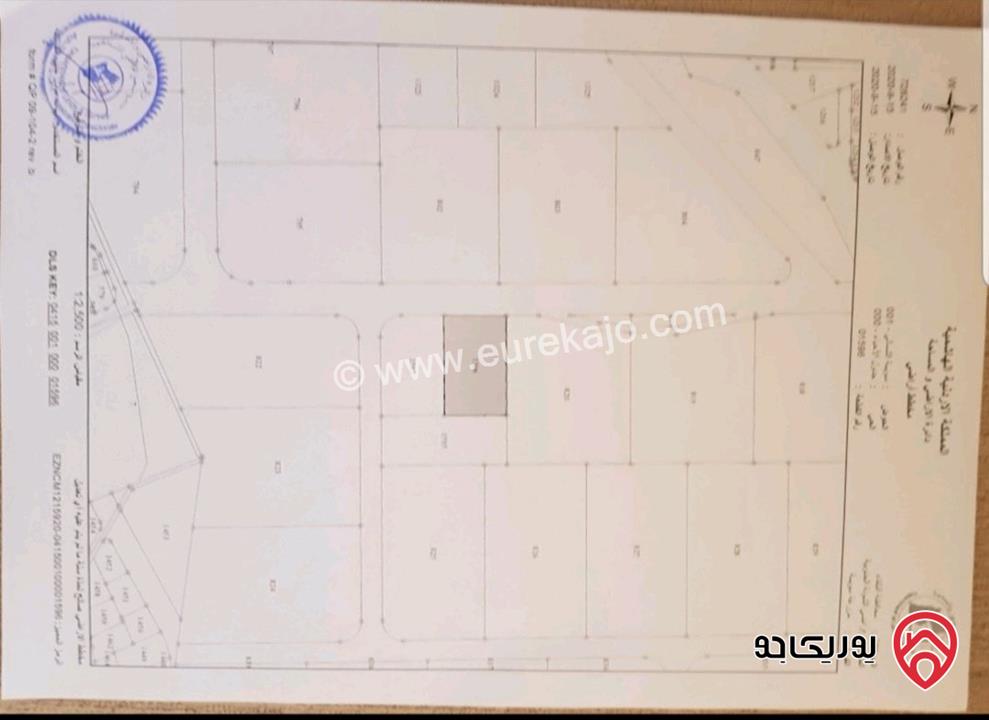 أرض استثمارية سياحية مساحة 3623م للبيع في البلقاء - سويمة البحر الميت