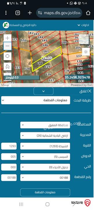 أرض مساحة 15837م للبيع في المفرق - بلعما الشبيكة بسعر مغري 200 دينار للدونم