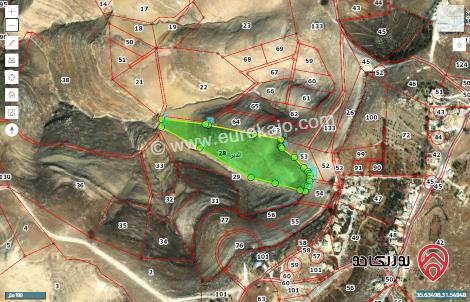 حصة مساحة 13048م من أرض للبيع في الدير حوض ابو الصحون من اراضي مادبا ذيبان