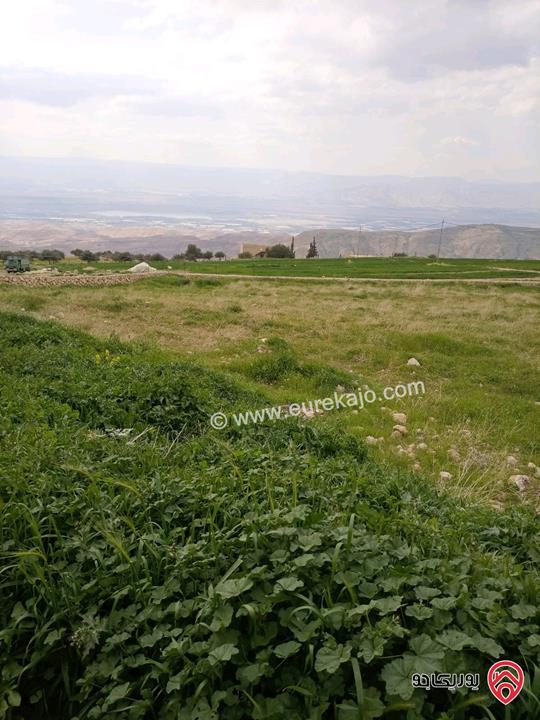 قطعة أرض زراعية مساحة 7520م للبيع في السلط 