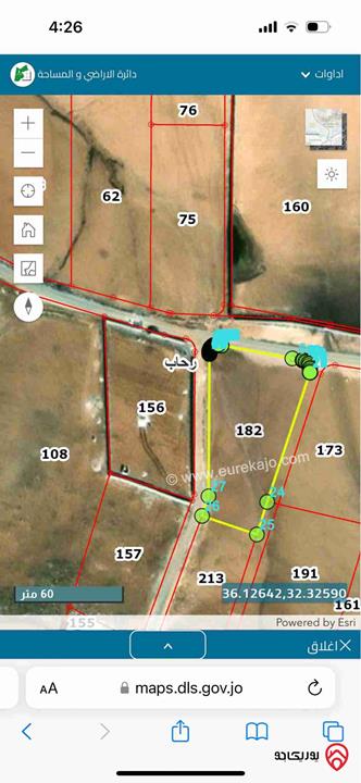 قطعتين أرض مساحة القطعة 4 دونم للبيع بسعر 12 ألف للدونم في المفرق -  رحاب 